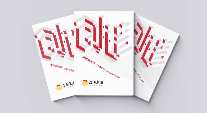 新源县宣传册设计：以精准触达，奏响城市发展的时代旋律